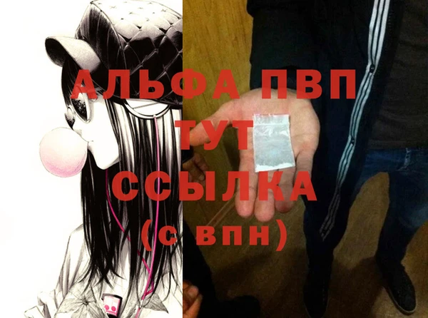 PSILOCYBIN Балахна