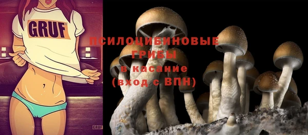 PSILOCYBIN Балахна