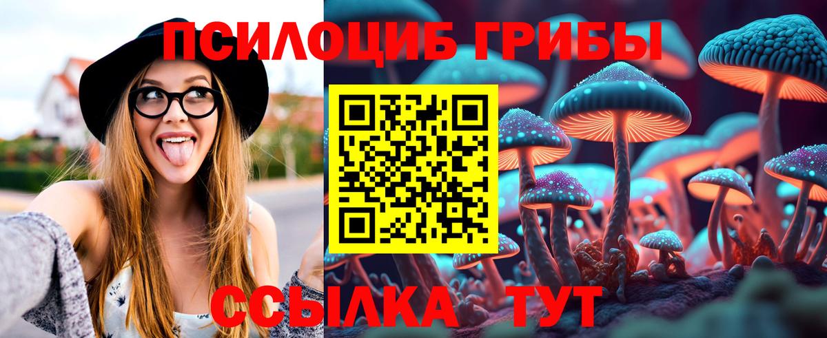 Улан-Удэ  Галлюциногенные грибы прущие грибы  Вход с VPN 
